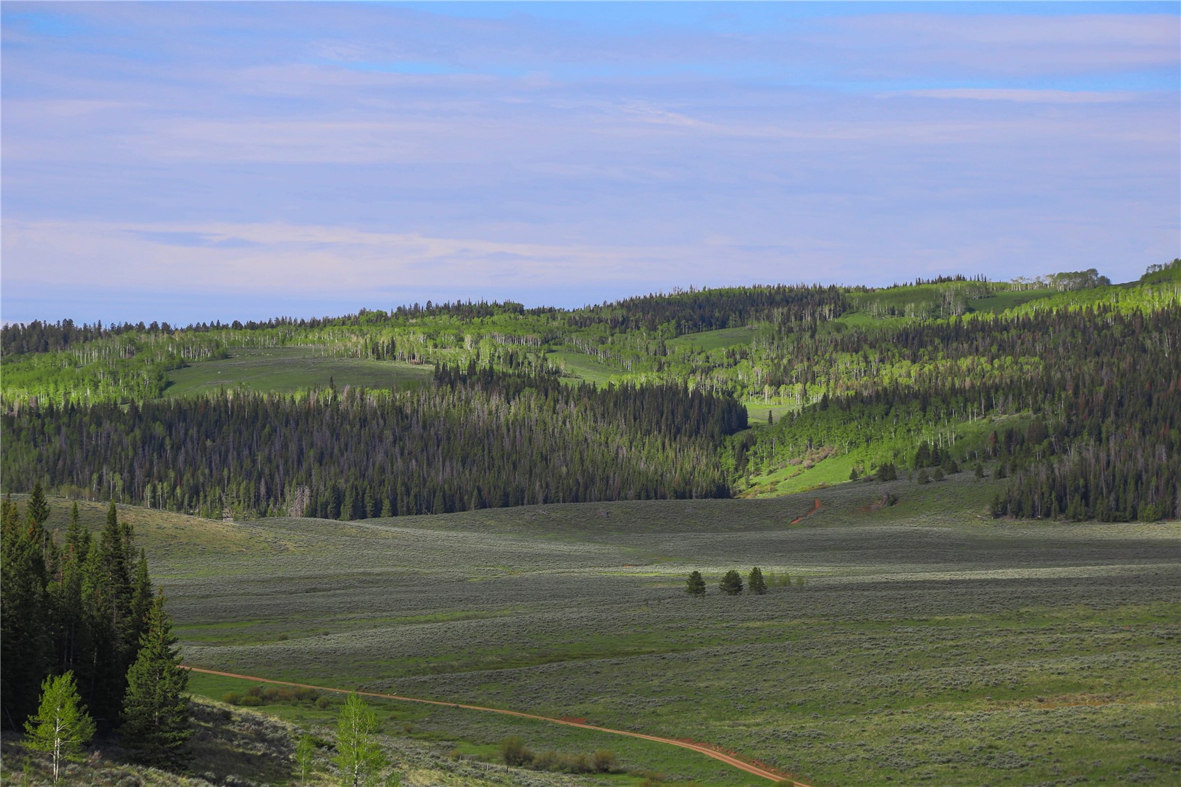 Tbd County Road 225 Toponas CO 80479
