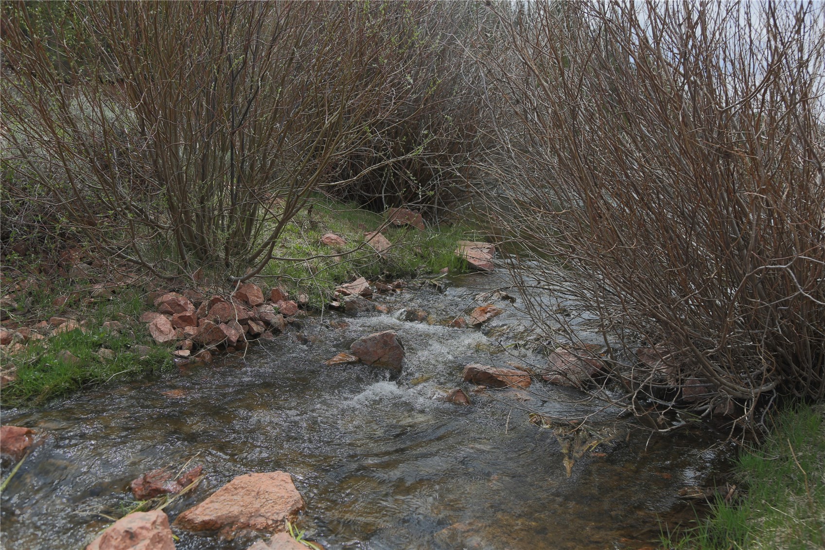 Tbd County Road 225 Toponas CO 80479