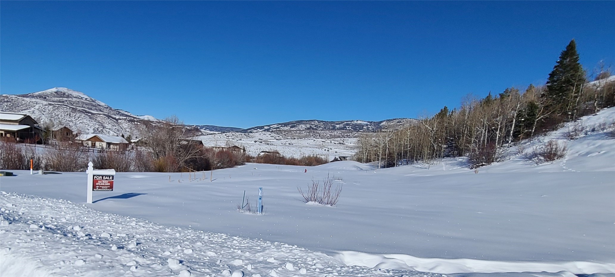 23525 Stagehorn Trail Oak Creek CO 80467