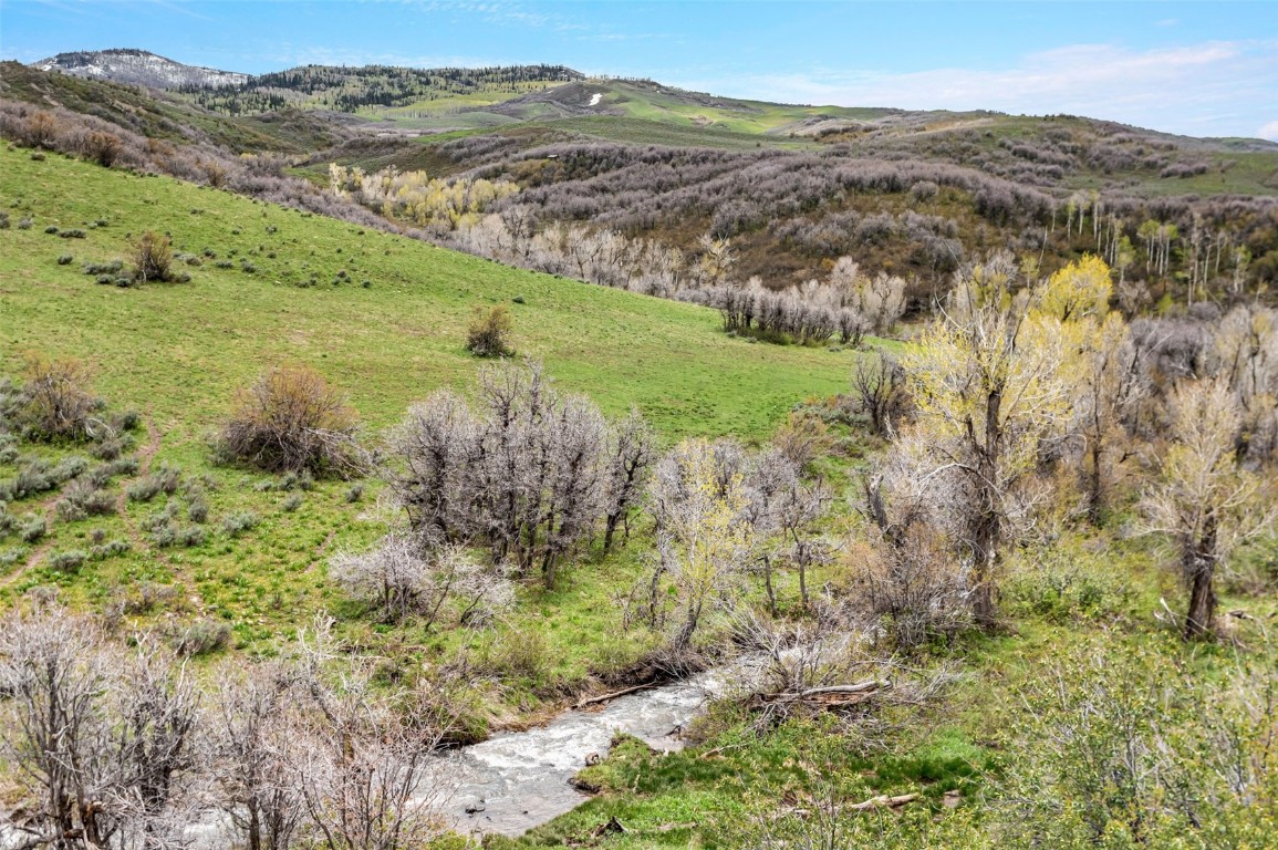 Tbd County Road 80 Hayden CO 81639