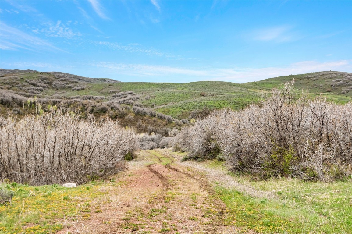 Tbd County Road 80 Hayden CO 81639