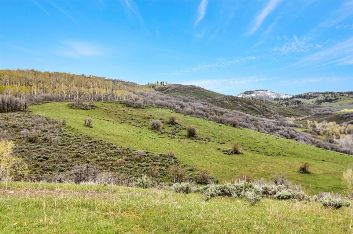 Tbd County Road 80 Hayden CO 81639