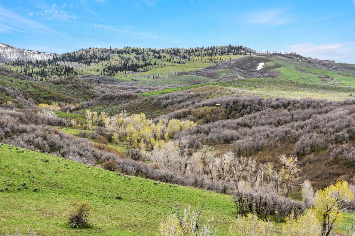 Tbd County Road 80 Hayden CO 81639