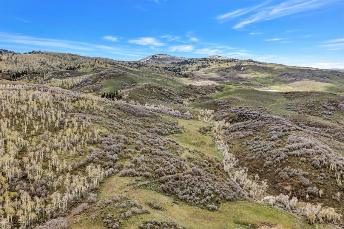 Tbd County Road 80 Hayden CO 81639