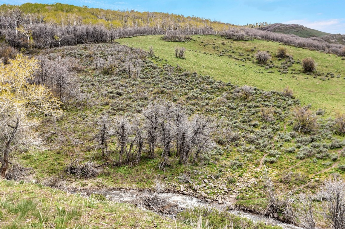 Tbd County Road 80 Hayden CO 81639