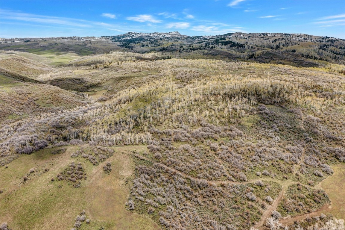 Tbd County Road 80 Hayden CO 81639