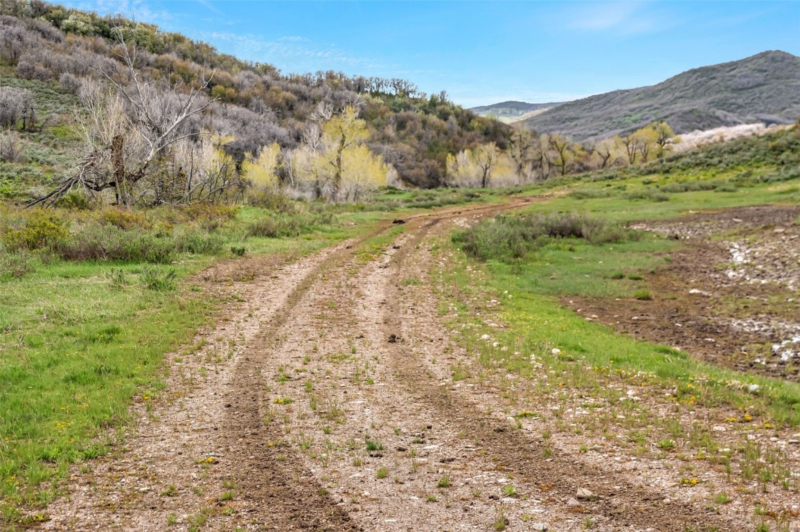Tbd County Road 80 Hayden CO 81639