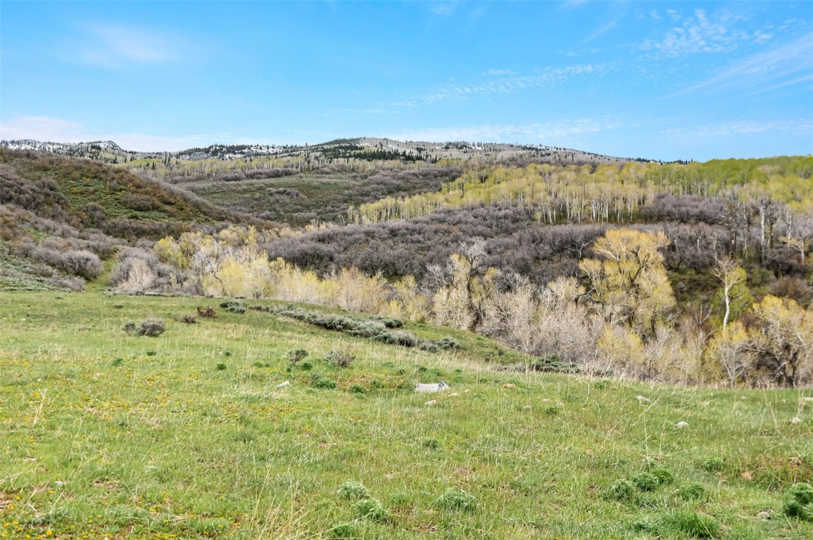 Tbd County Road 80 Hayden CO 81639