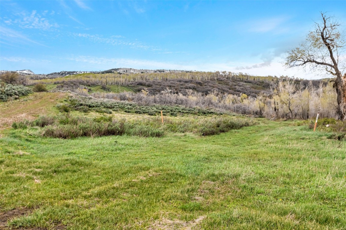 Tbd County Road 80 Hayden CO 81639