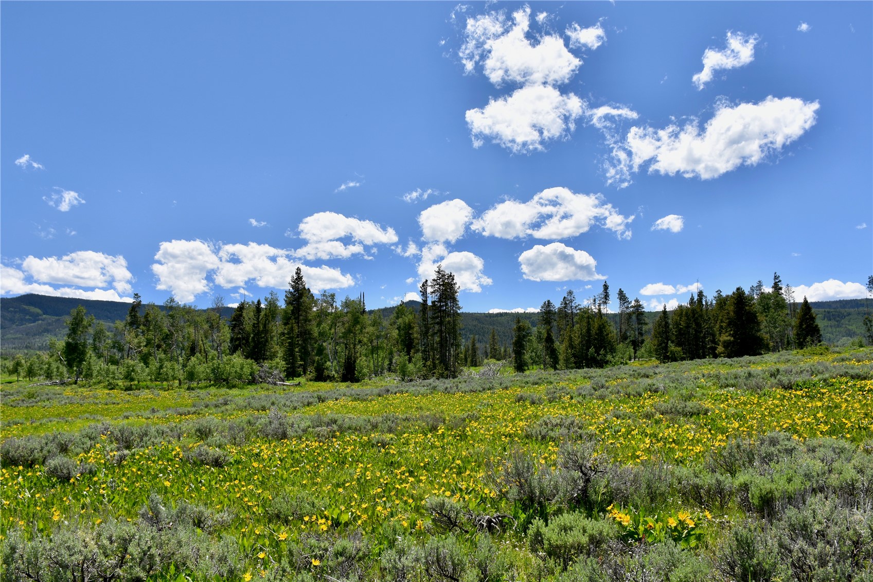 195 Halter Trail Oak Creek CO 80467