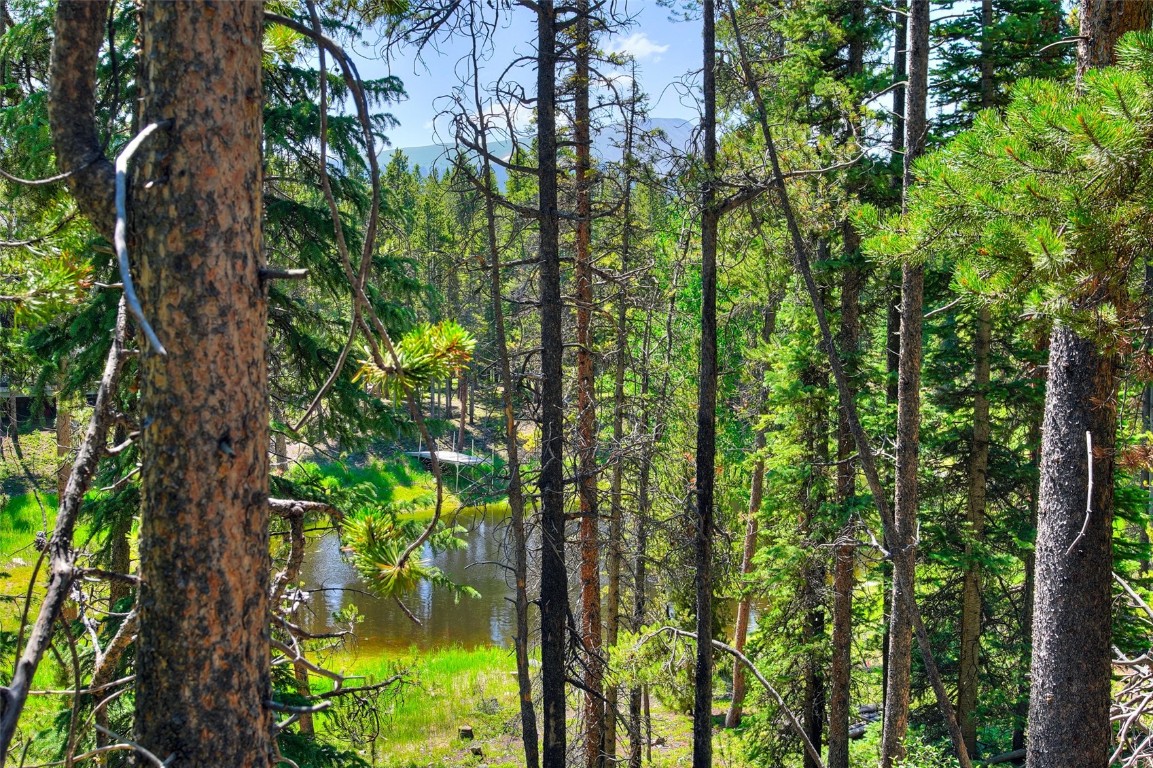 158 Bryce Estates Road Breckenridge CO 80424