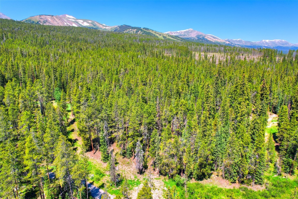 158 Bryce Estates Road Breckenridge CO 80424