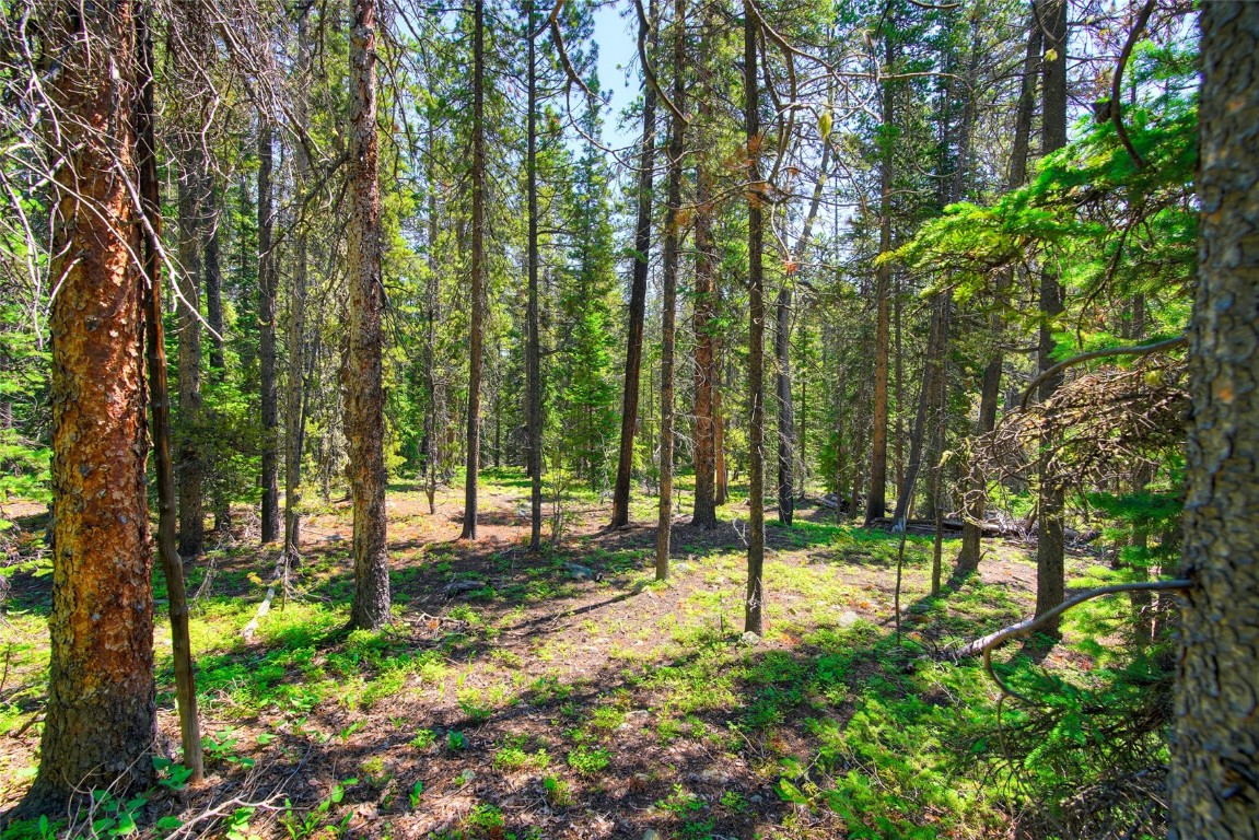 158 Bryce Estates Road Breckenridge CO 80424