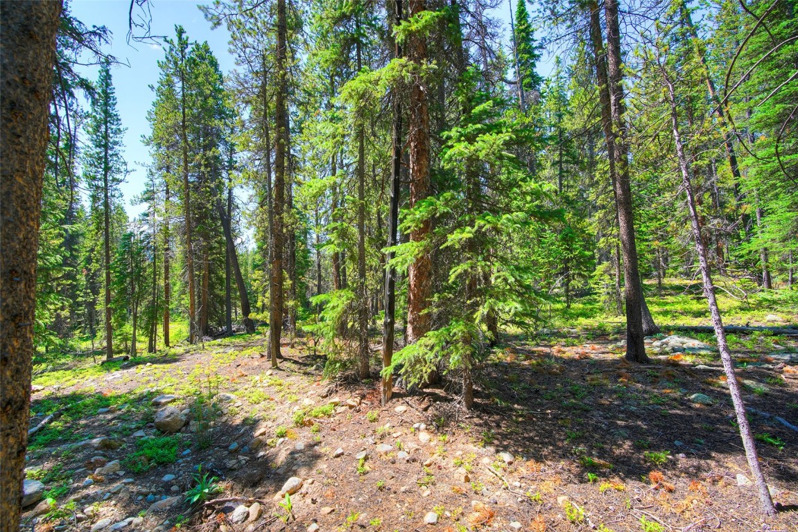 158 Bryce Estates Road Breckenridge CO 80424