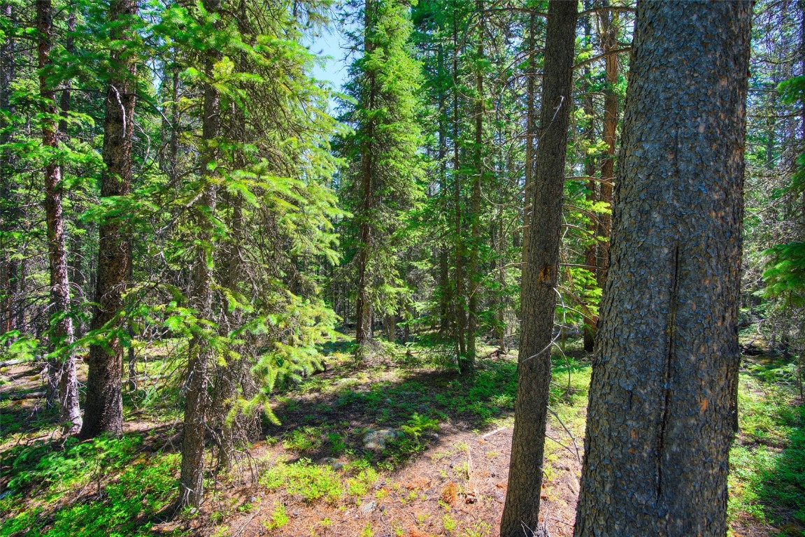 158 Bryce Estates Road Breckenridge CO 80424
