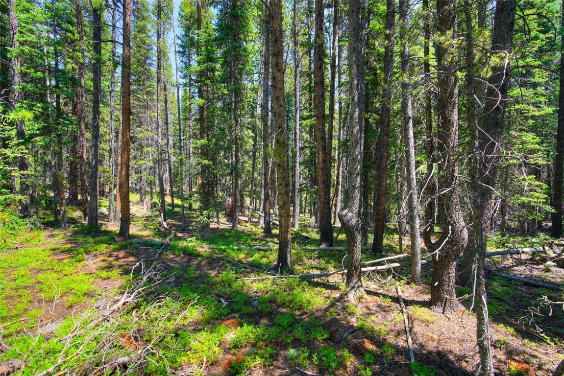 158 Bryce Estates Road Breckenridge CO 80424