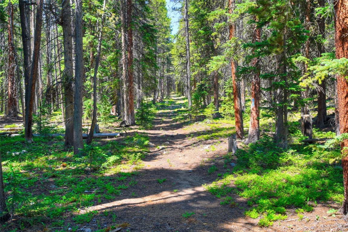 158 Bryce Estates Road Breckenridge CO 80424