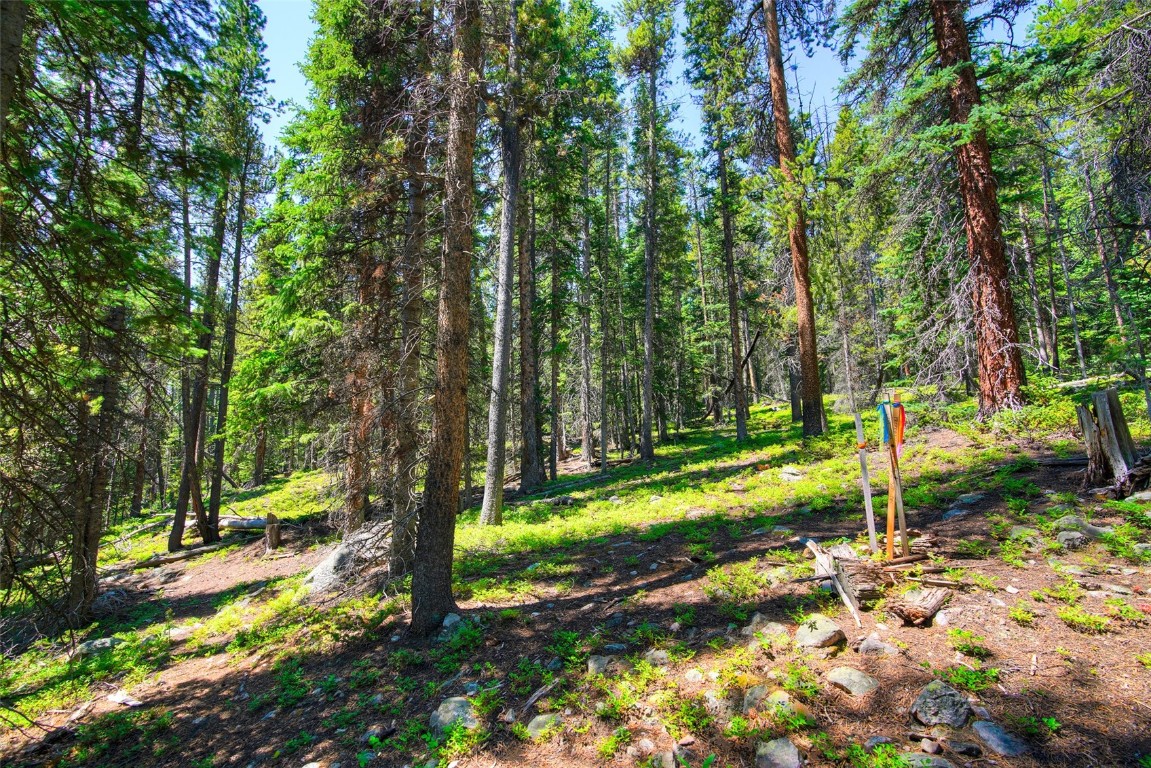 158 Bryce Estates Road Breckenridge CO 80424