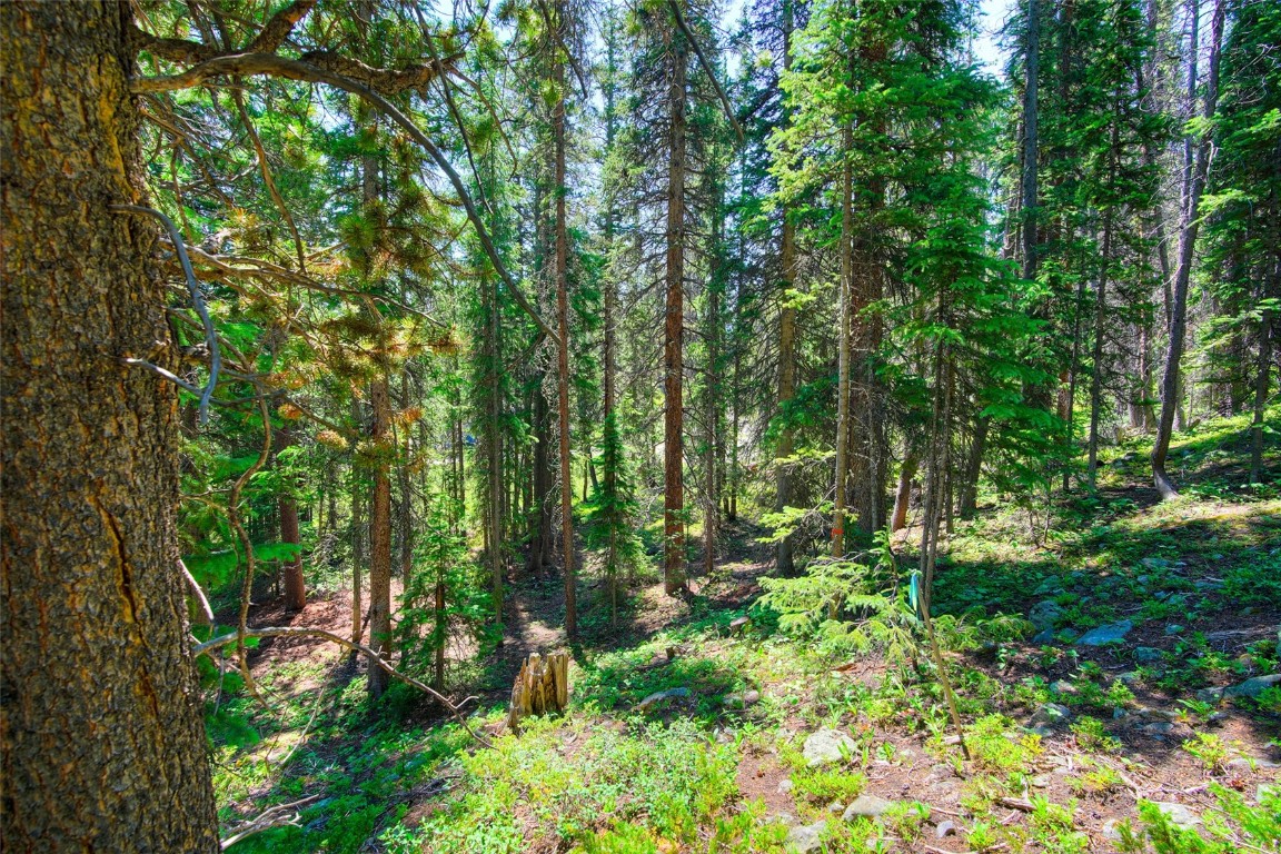 158 Bryce Estates Road Breckenridge CO 80424