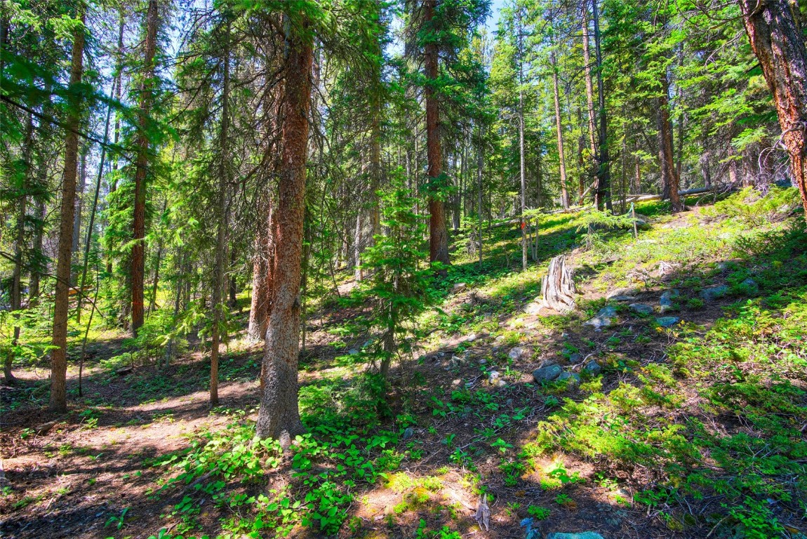 158 Bryce Estates Road Breckenridge CO 80424