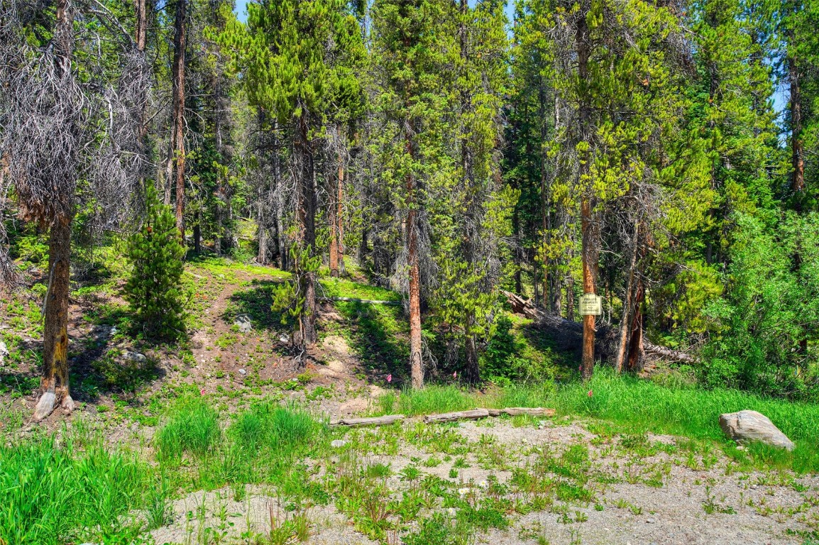 158 Bryce Estates Road Breckenridge CO 80424