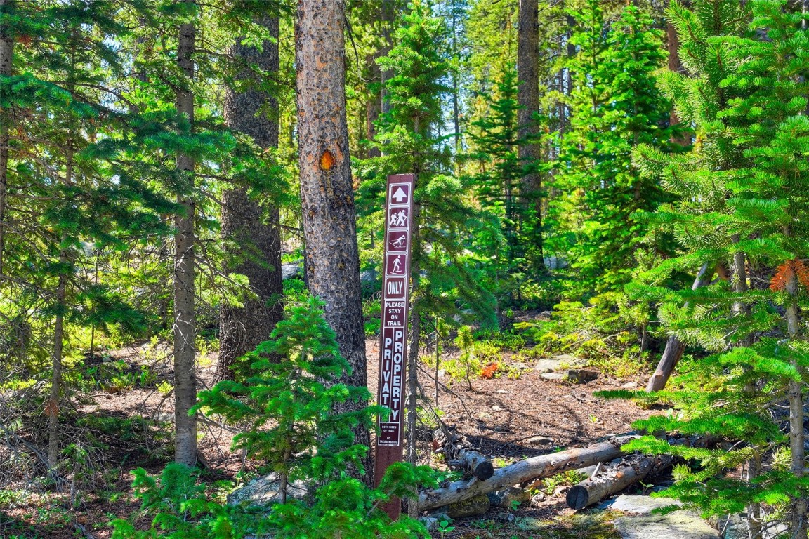 158 Bryce Estates Road Breckenridge CO 80424