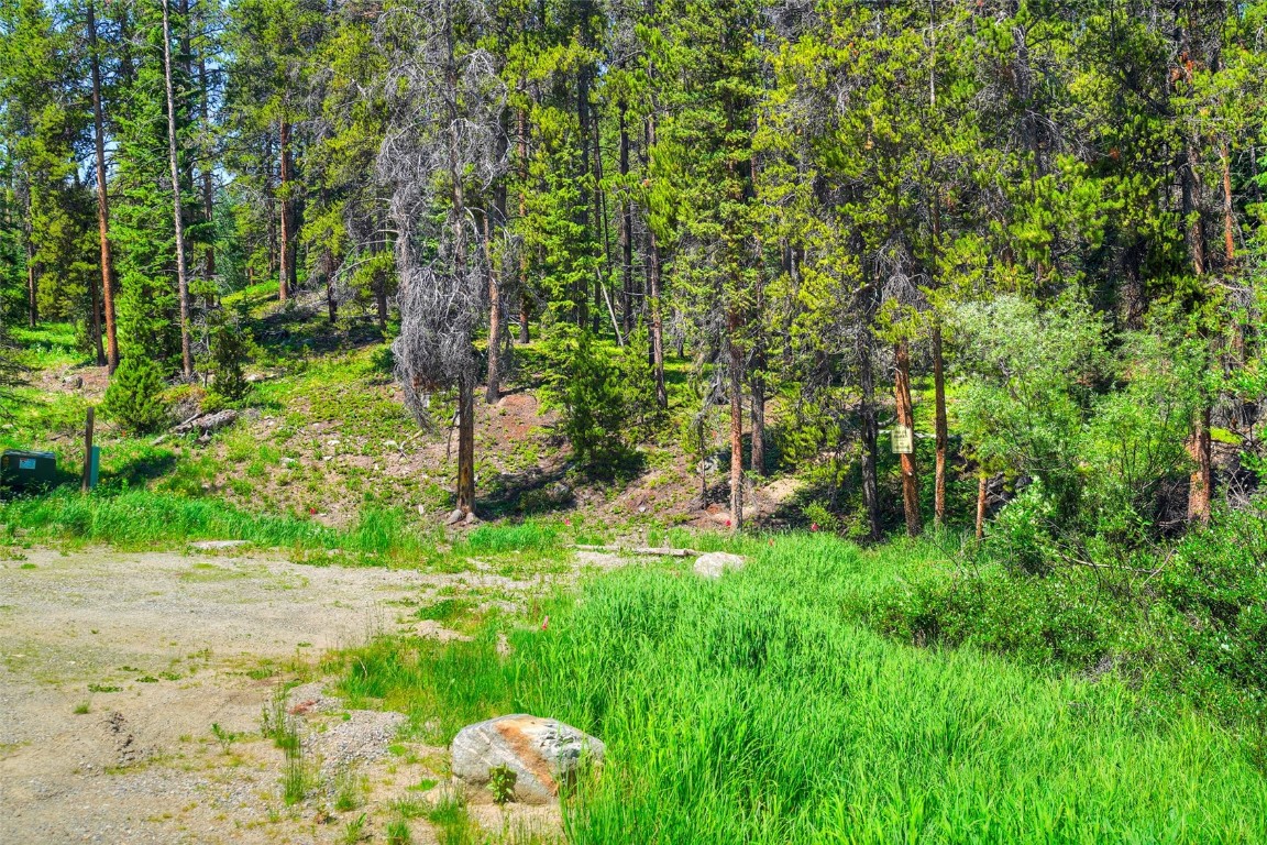 158 Bryce Estates Road Breckenridge CO 80424