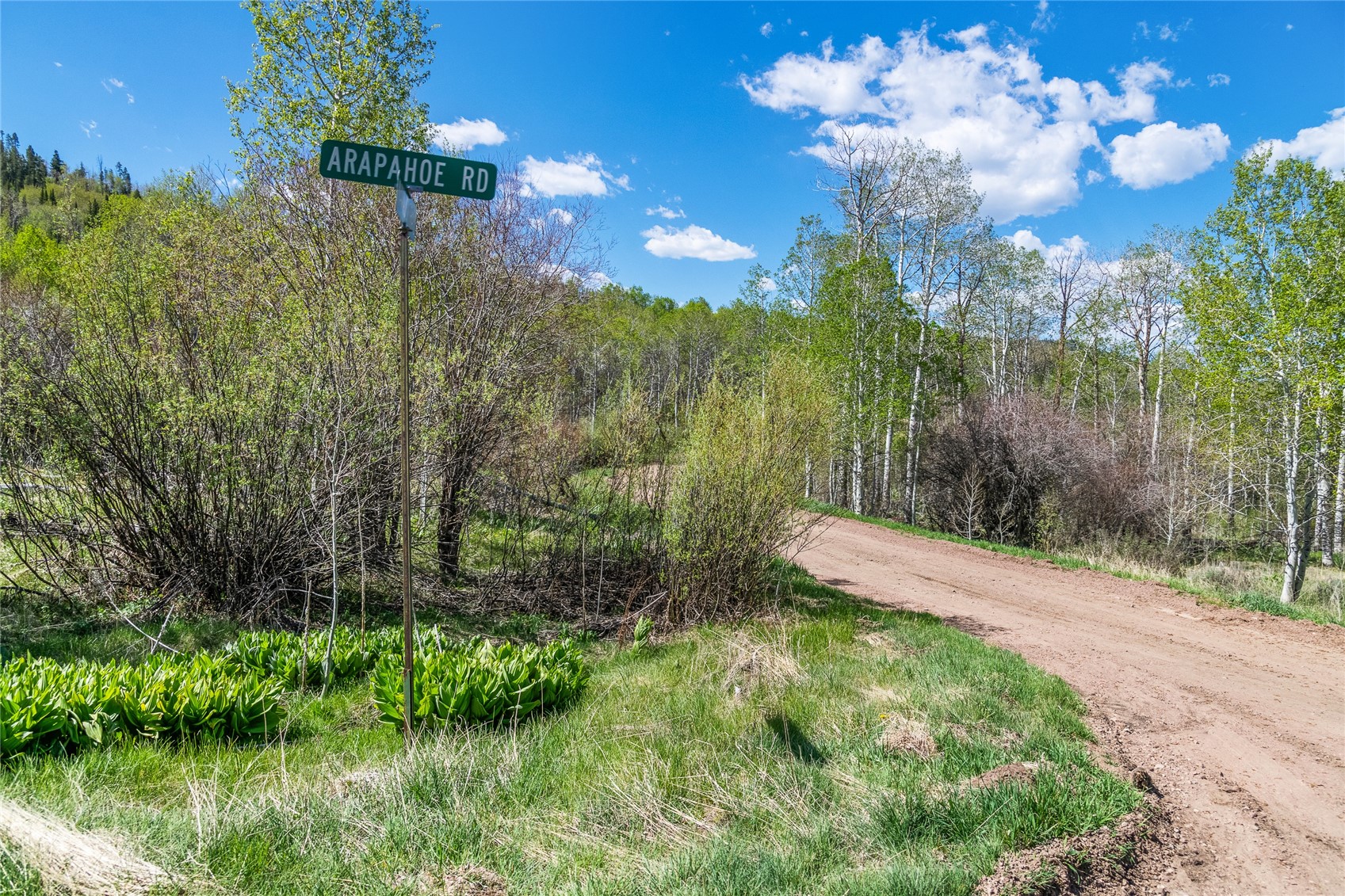 24155 Arapahoe Road Oak Creek CO 80467