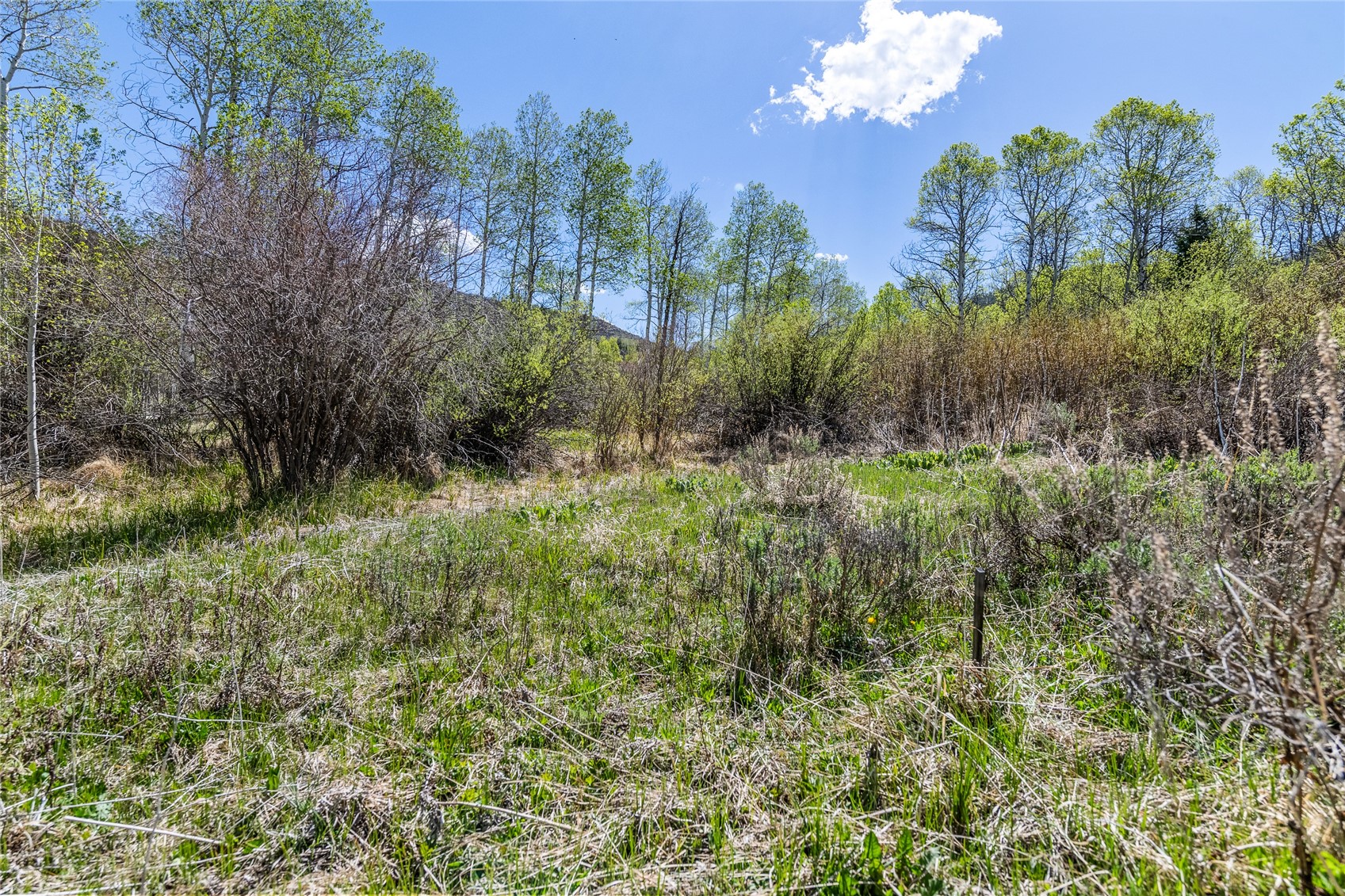 24155 Arapahoe Road Oak Creek CO 80467