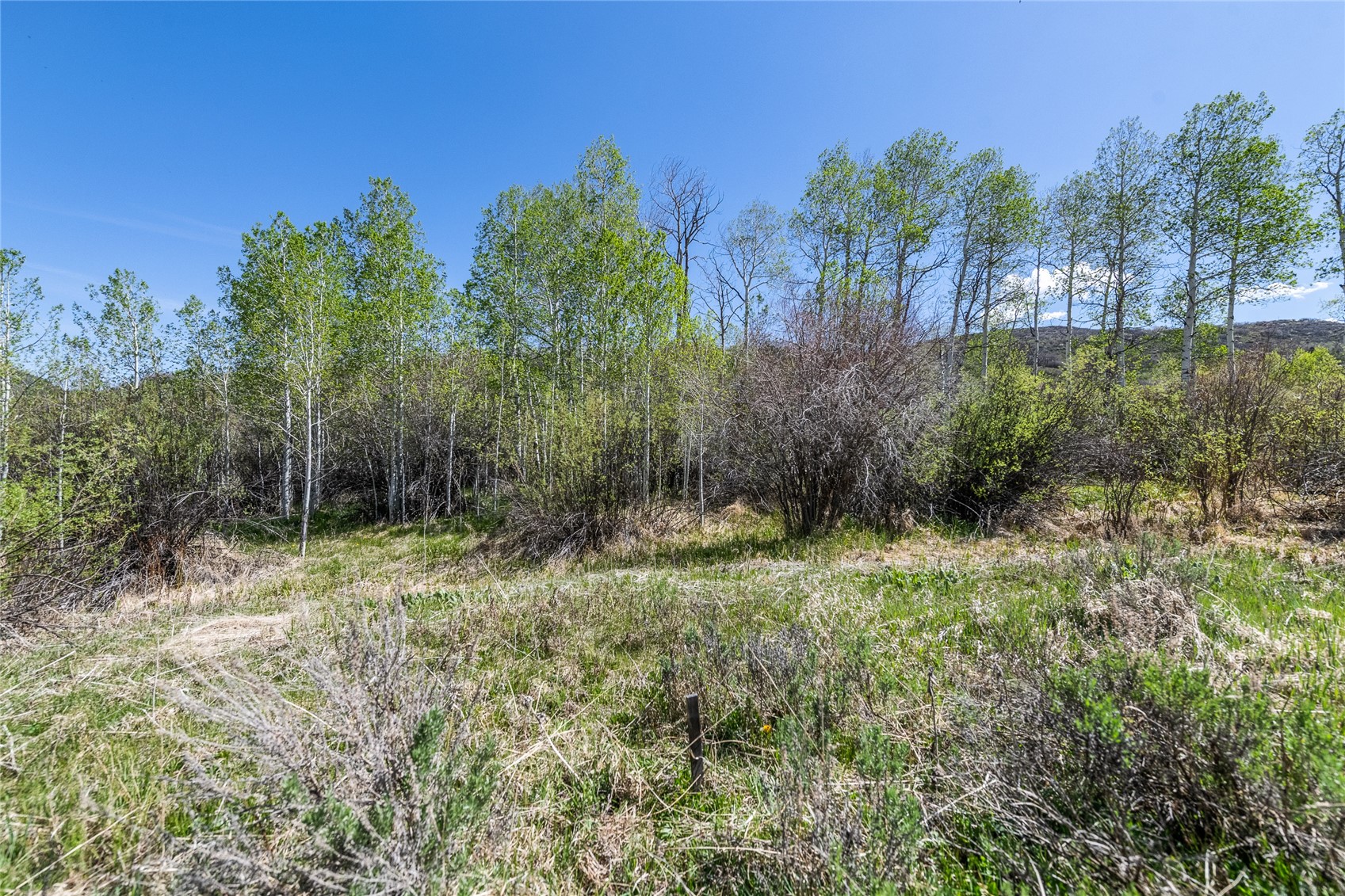 24155 Arapahoe Road Oak Creek CO 80467