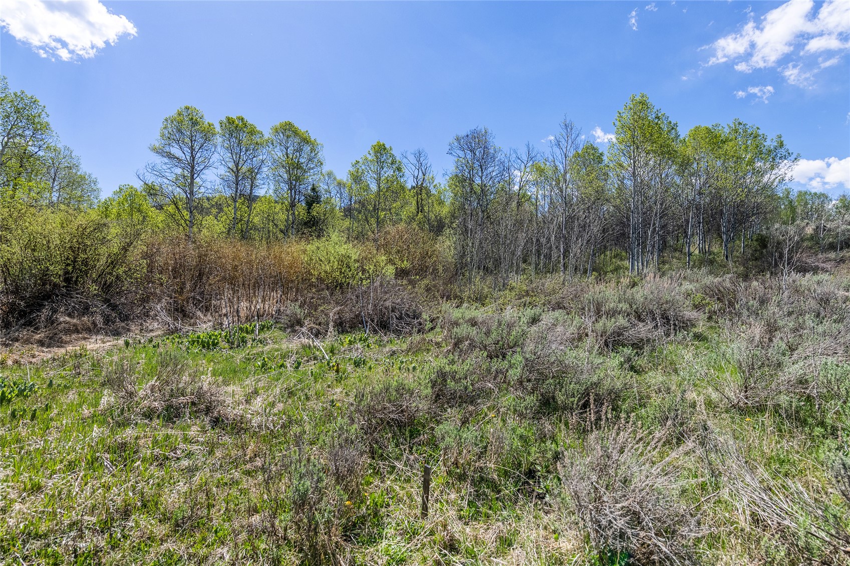 24155 Arapahoe Road Oak Creek CO 80467