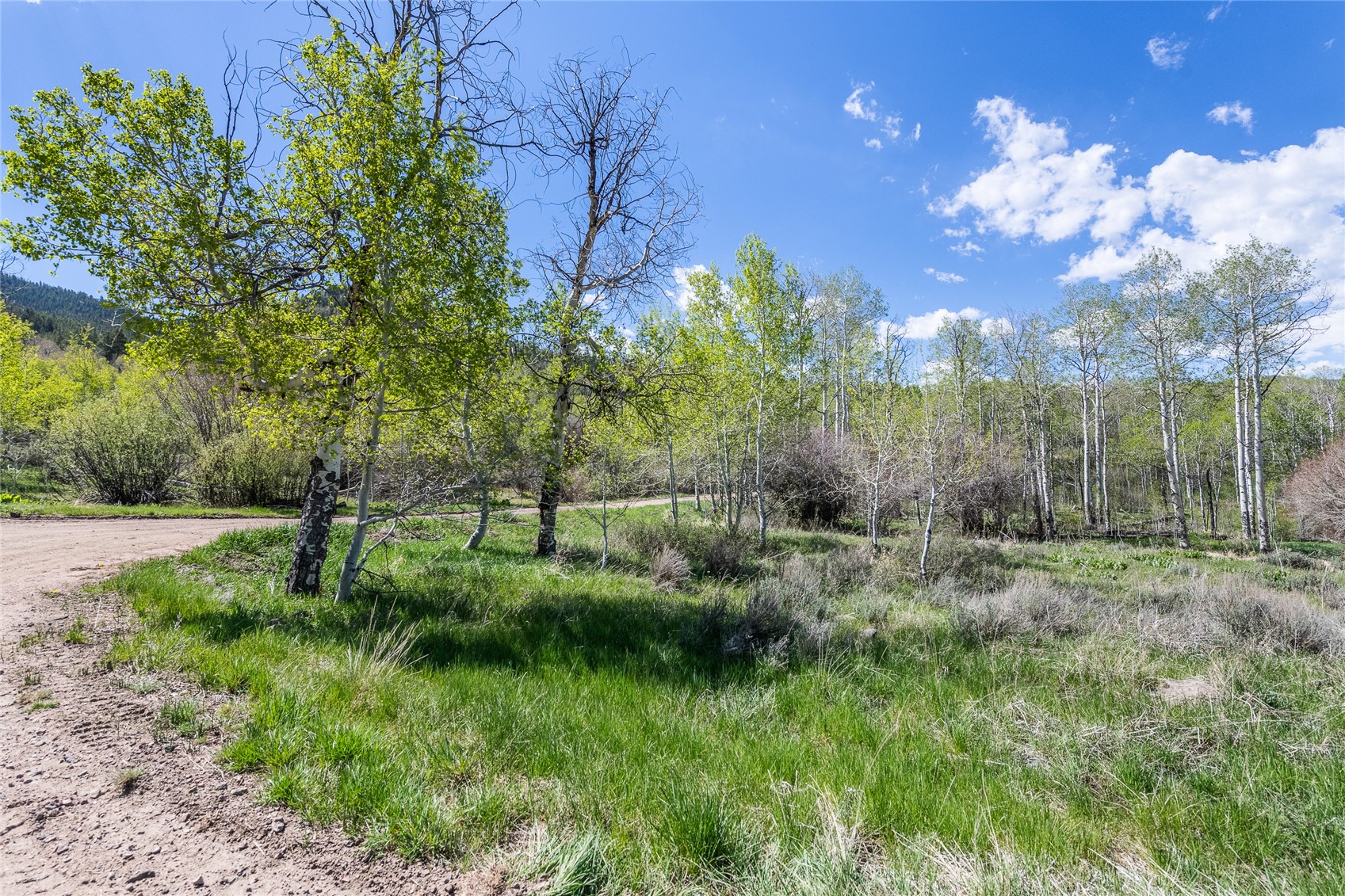 24155 Arapahoe Road Oak Creek CO 80467