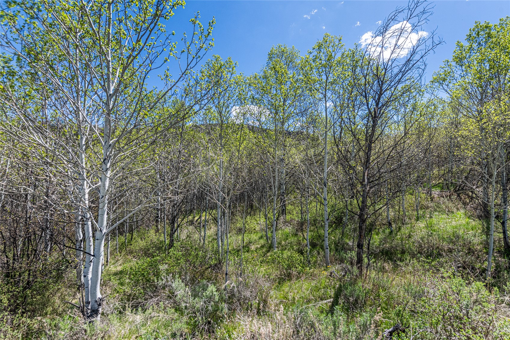 24155 Arapahoe Road Oak Creek CO 80467