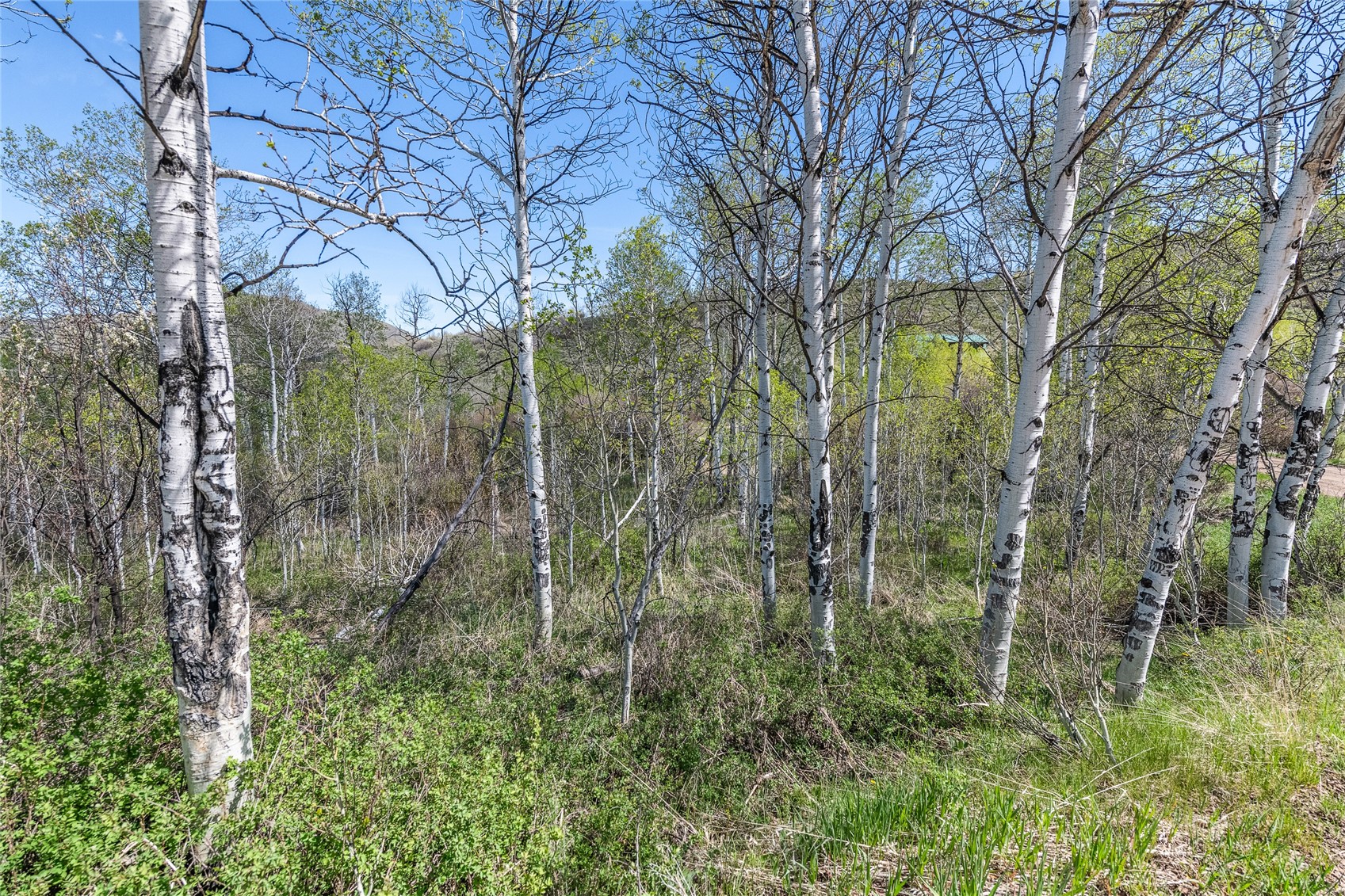 24155 Arapahoe Road Oak Creek CO 80467