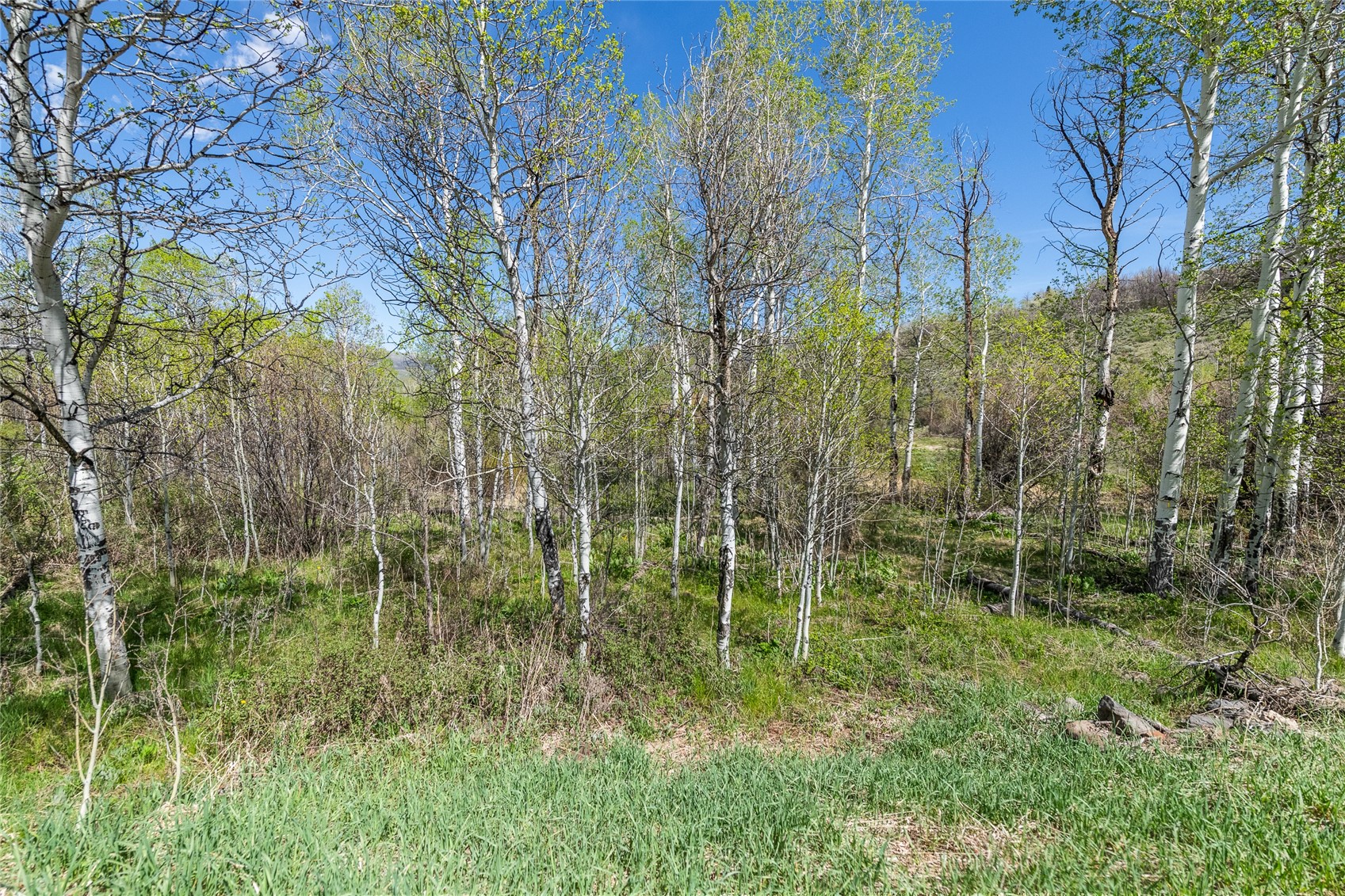 24155 Arapahoe Road Oak Creek CO 80467