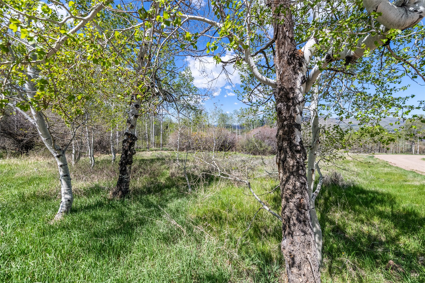 24155 Arapahoe Road Oak Creek CO 80467