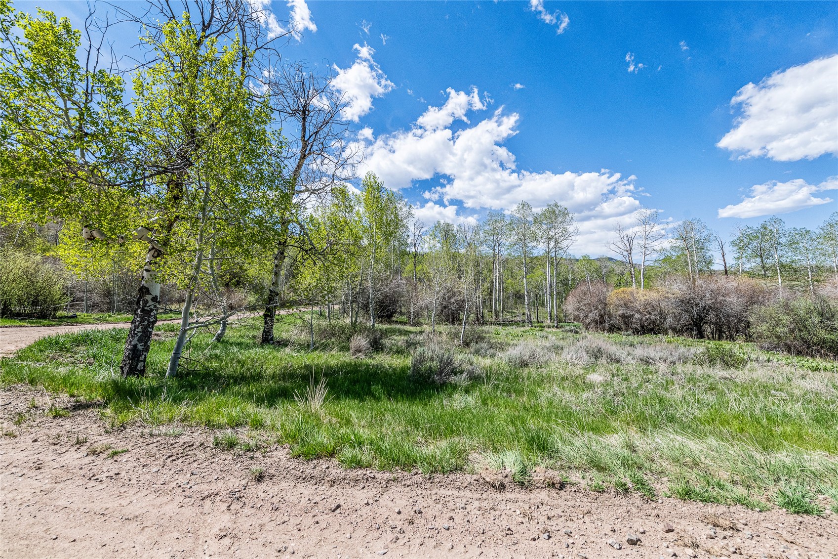 24155 Arapahoe Road Oak Creek CO 80467