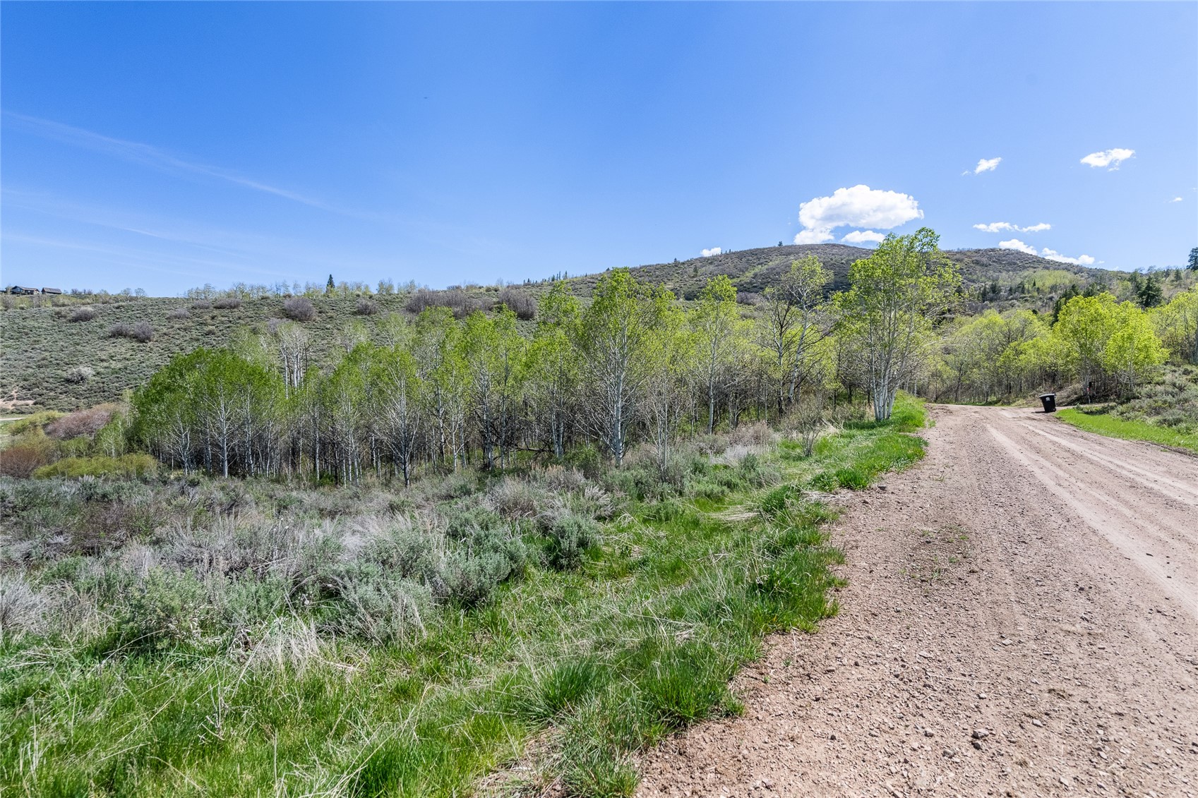24155 Arapahoe Road Oak Creek CO 80467