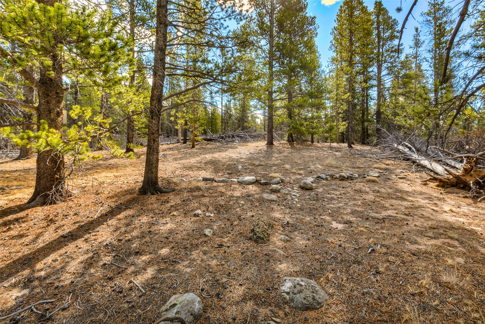 265 Placer Drive Alma CO 80420