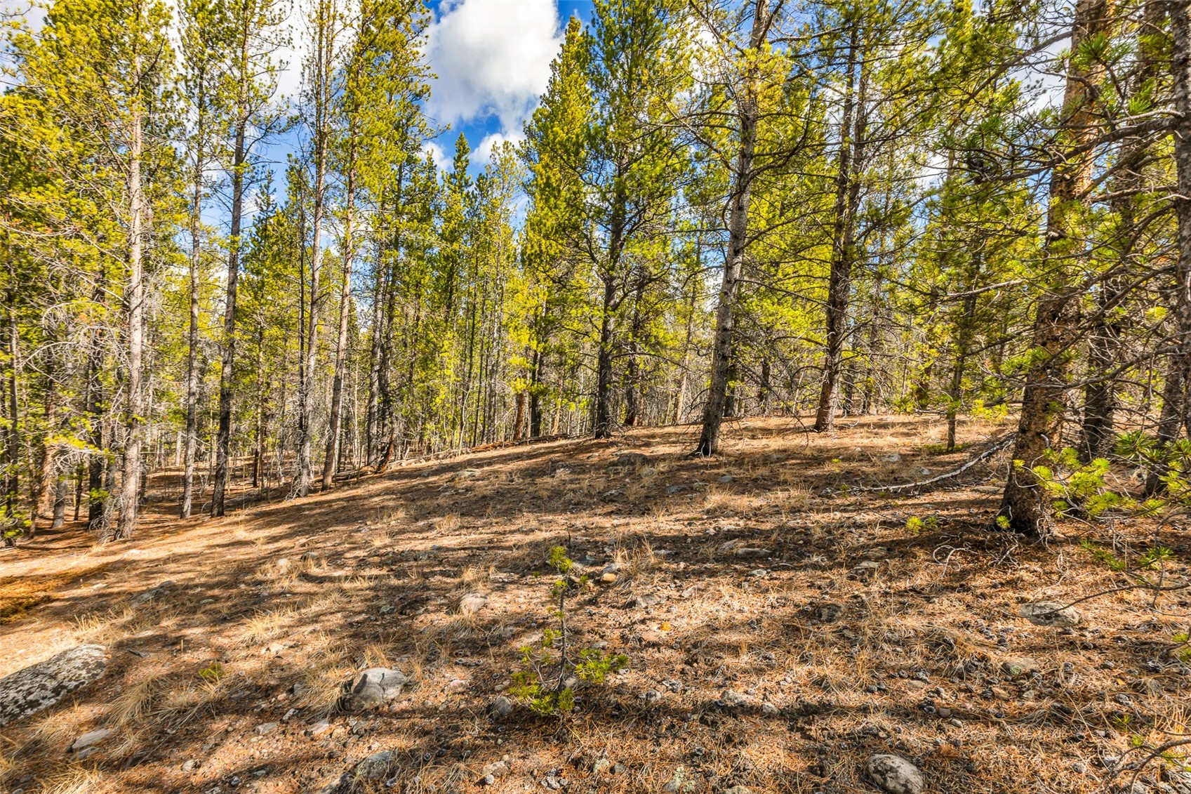 265 Placer Drive Alma CO 80420