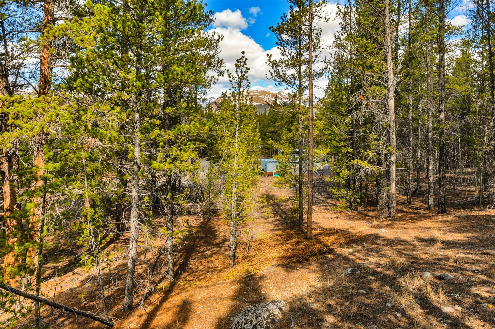 265 Placer Drive Alma CO 80420