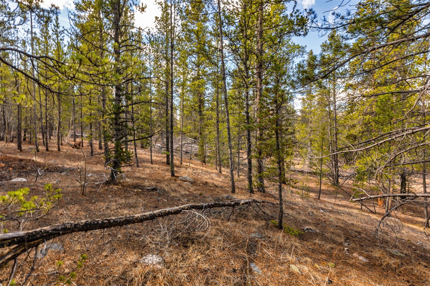 265 Placer Drive Alma CO 80420