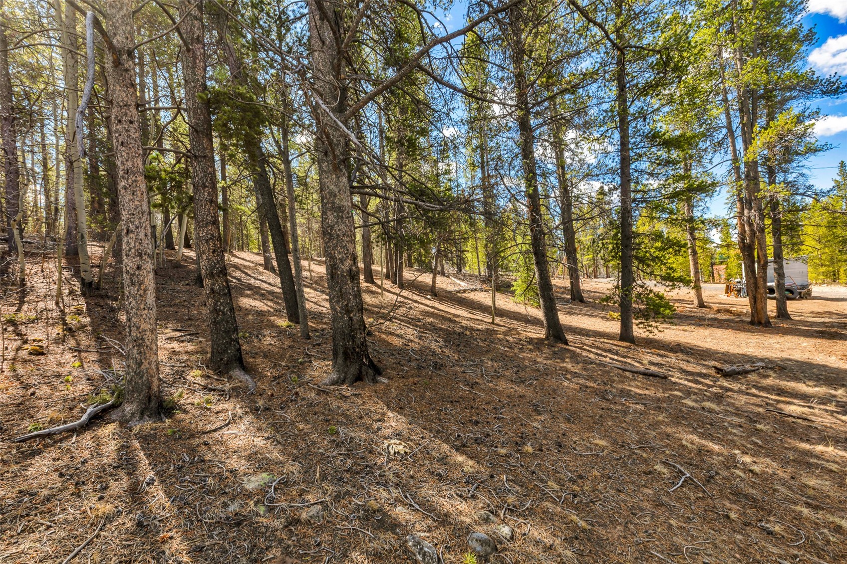 265 Placer Drive Alma CO 80420