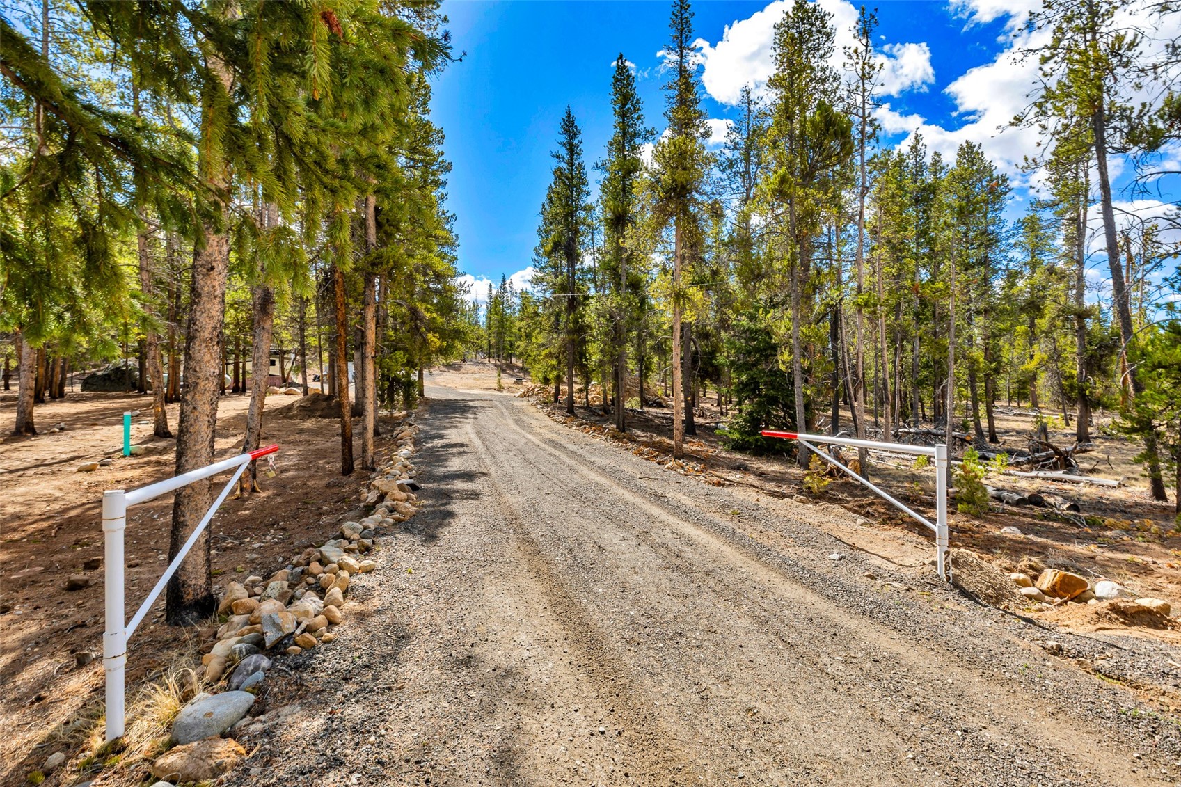 265 Placer Drive Alma CO 80420