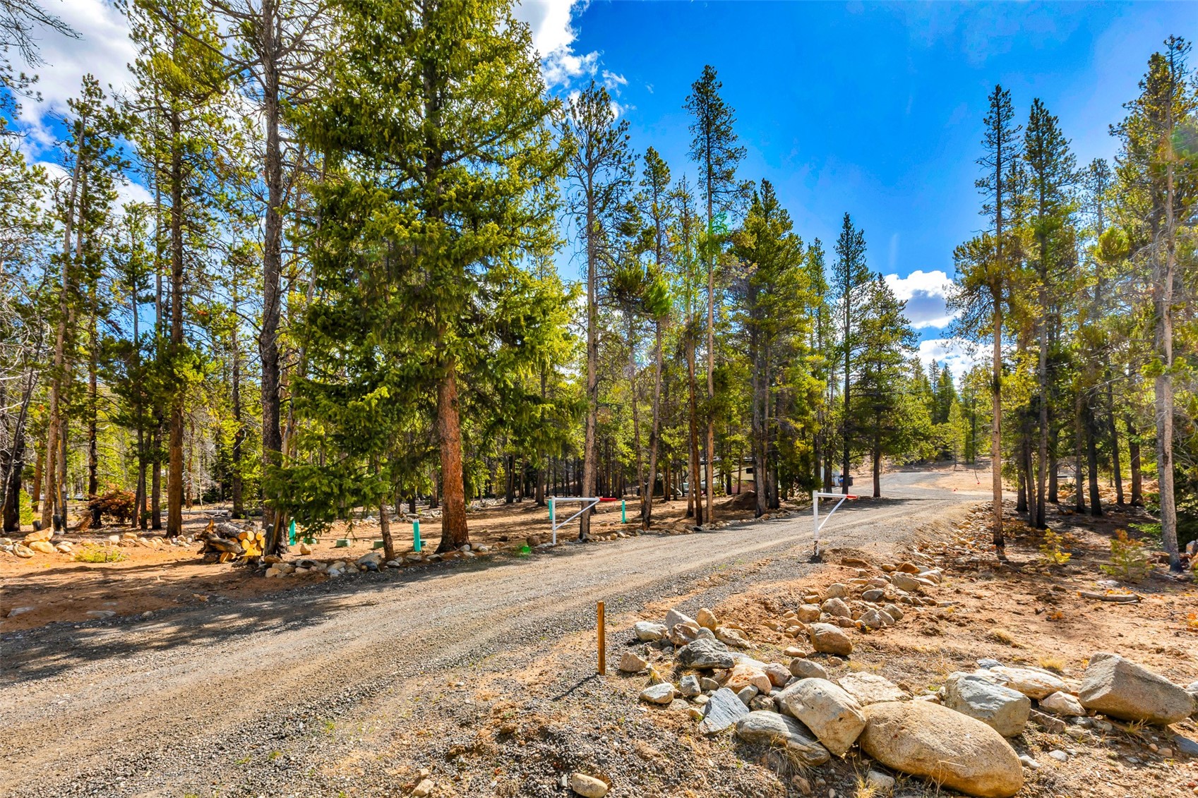 265 Placer Drive Alma CO 80420