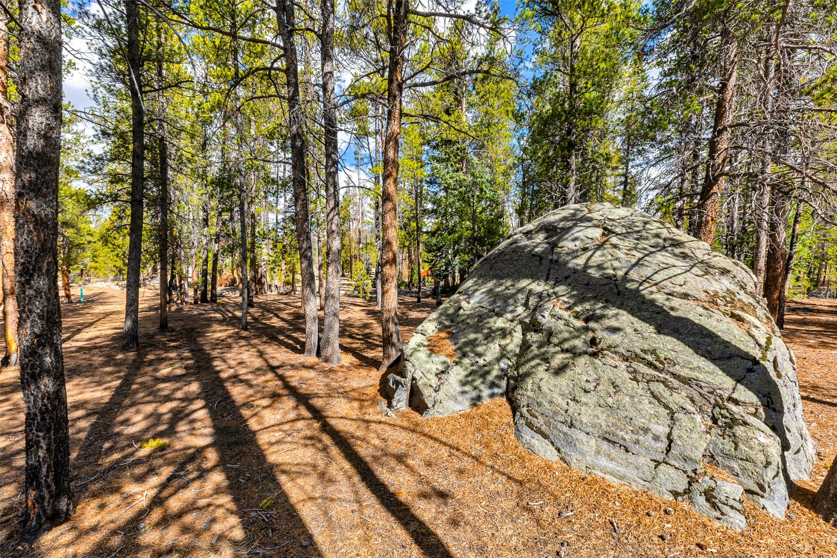 265 Placer Drive Alma CO 80420