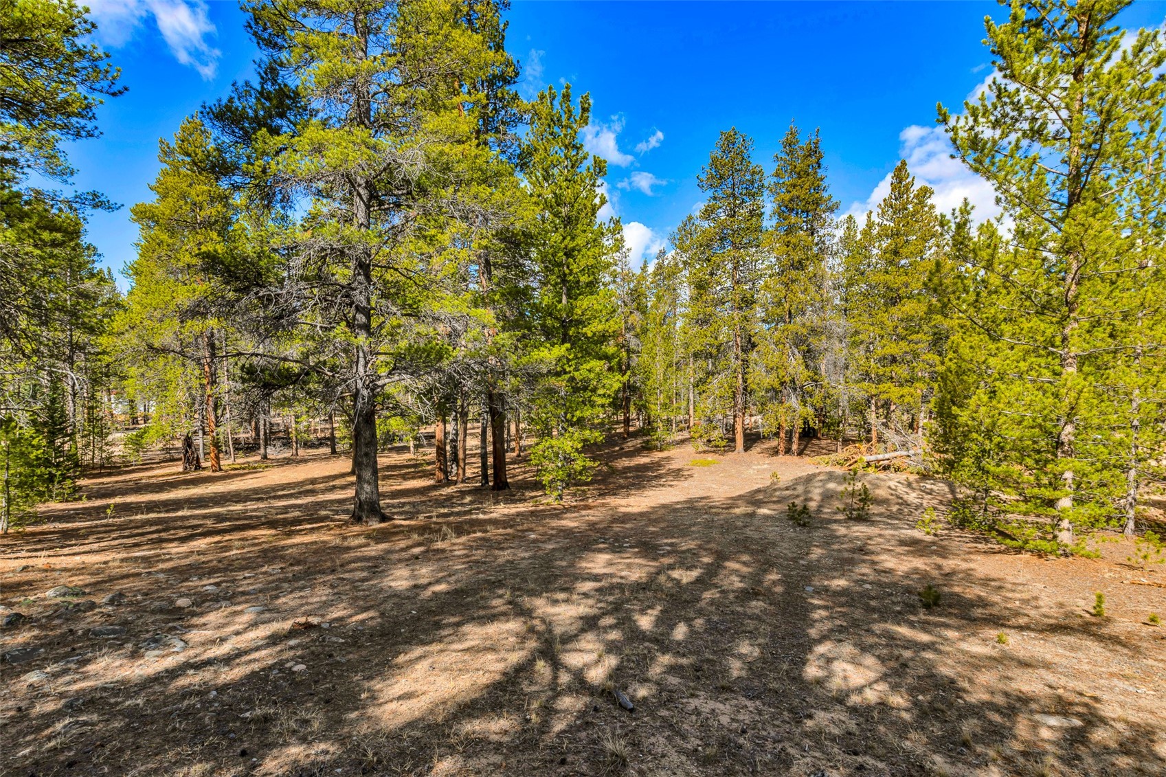 265 Placer Drive Alma CO 80420