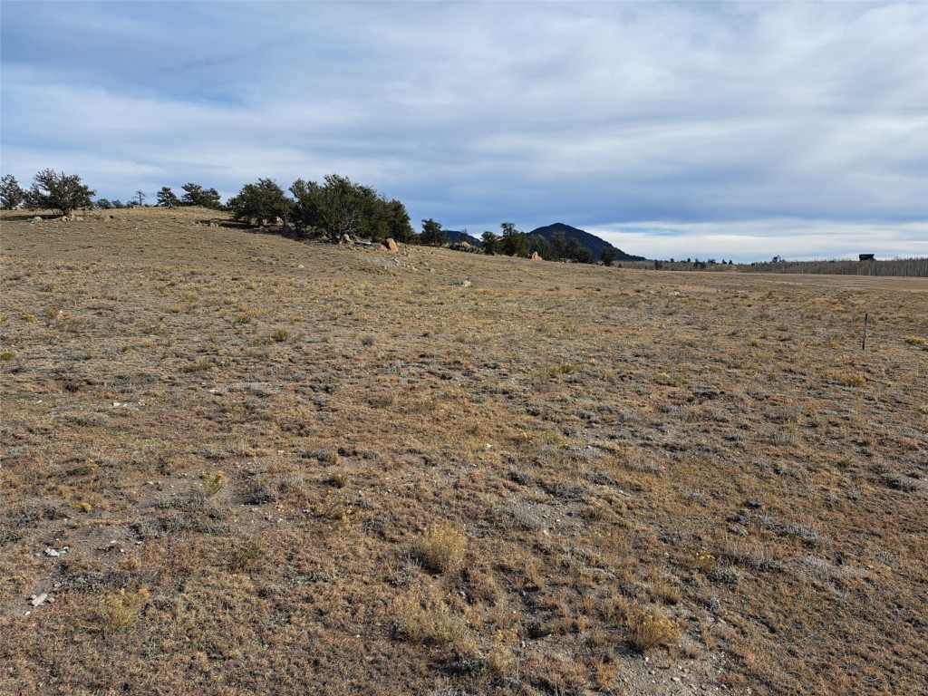 1282 Ute Trace Hartsel CO 80449