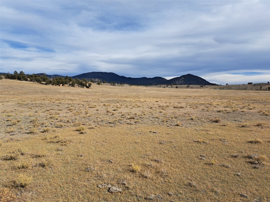 1282 Ute Trace Hartsel CO 80449