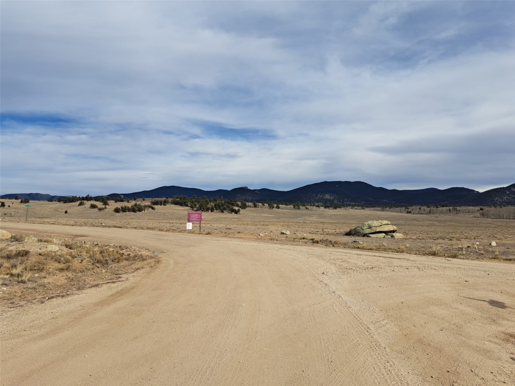 1282 Ute Trace Hartsel CO 80449